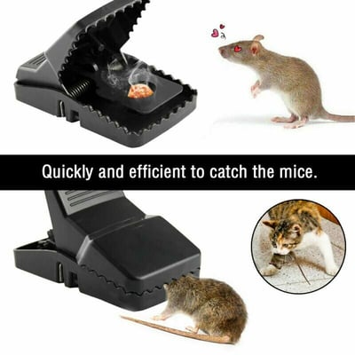 🔥Large Powerful Rat Traps🔥